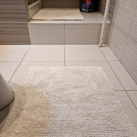 Erzsebet Apartman, Free Parking ブダペスト エクステリア 写真