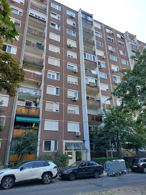 Erzsebet Apartman, Free Parking ブダペスト エクステリア 写真