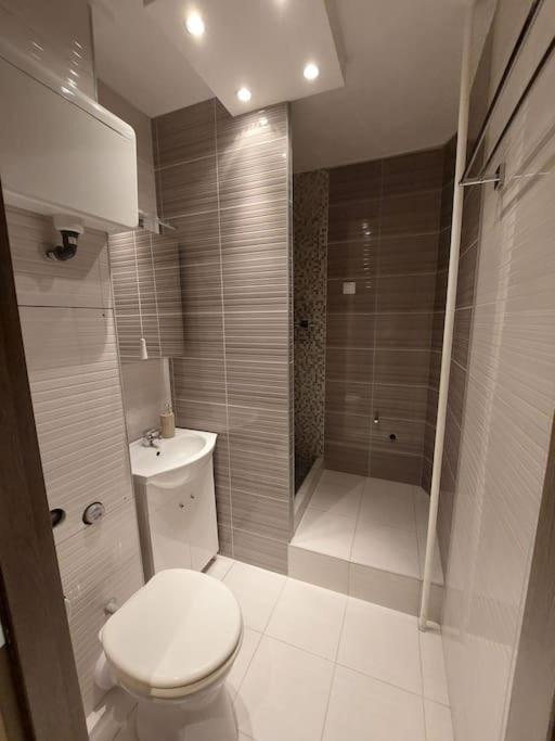 Erzsebet Apartman, Free Parking ブダペスト エクステリア 写真