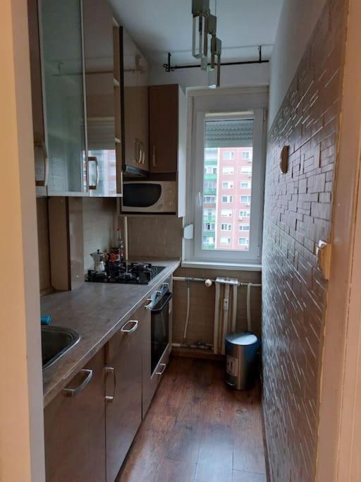 Erzsebet Apartman, Free Parking ブダペスト エクステリア 写真