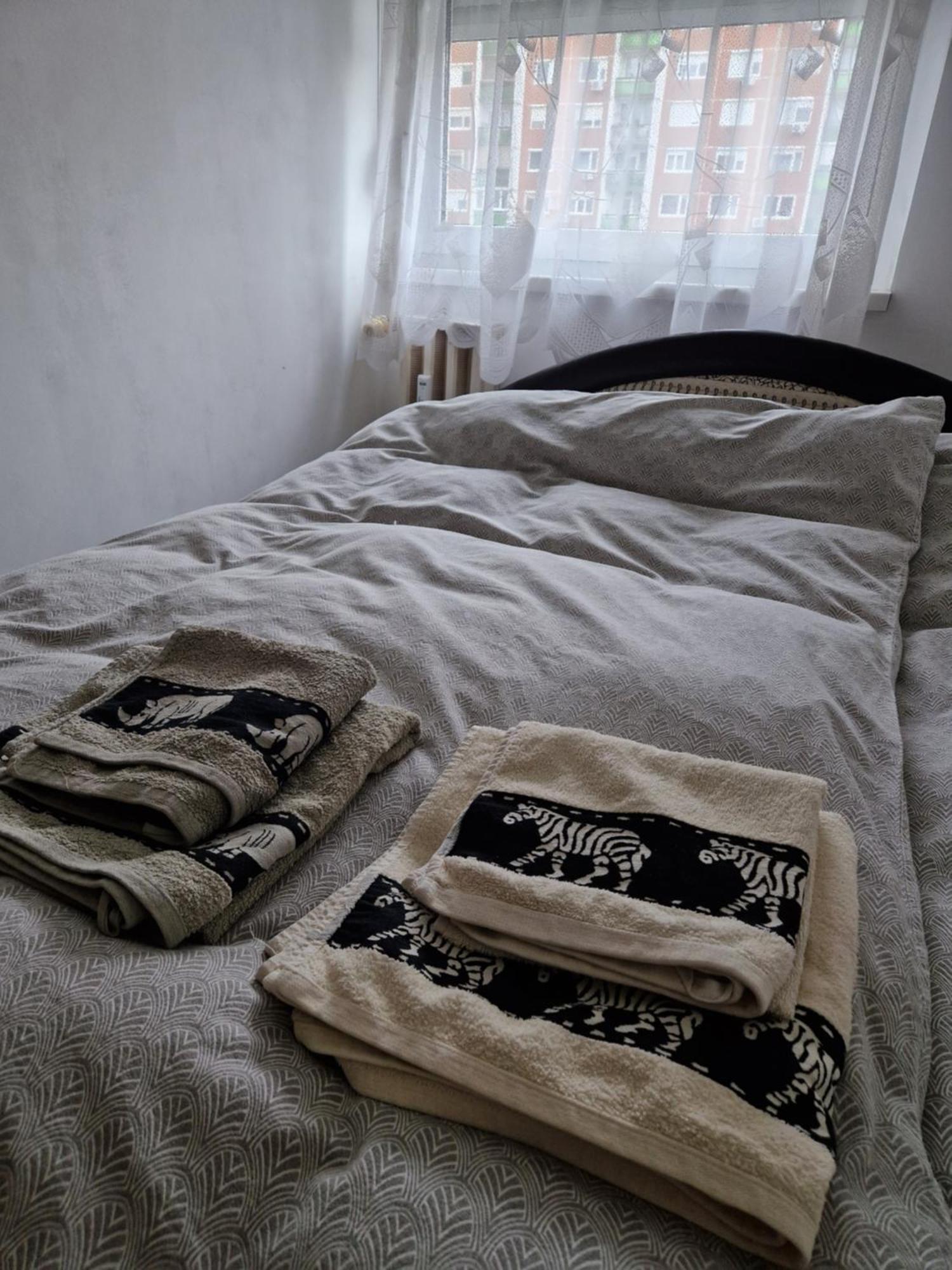 Erzsebet Apartman, Free Parking ブダペスト エクステリア 写真